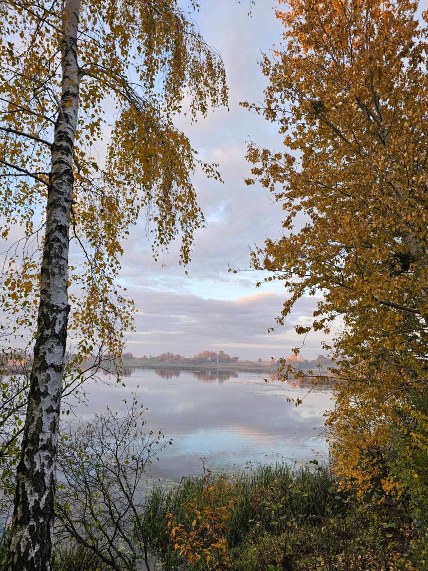 Hytte Na Wyspie -,,Roztoczanskie Morze" Kulikow Exterior foto